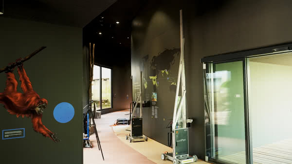 praxis Wandgestaltung