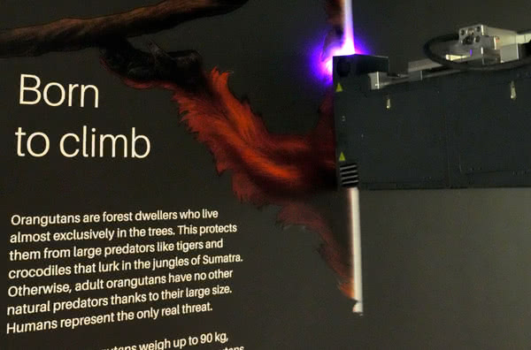 praxis Wandgestaltung